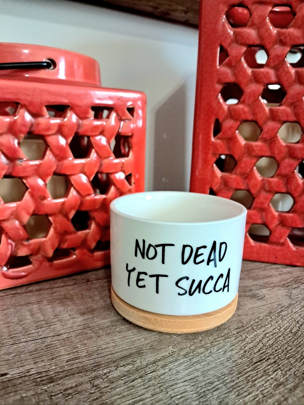 Not Dead Yet Succa Ceramic Planter with Bamboo Tray - Picture 4 of 4